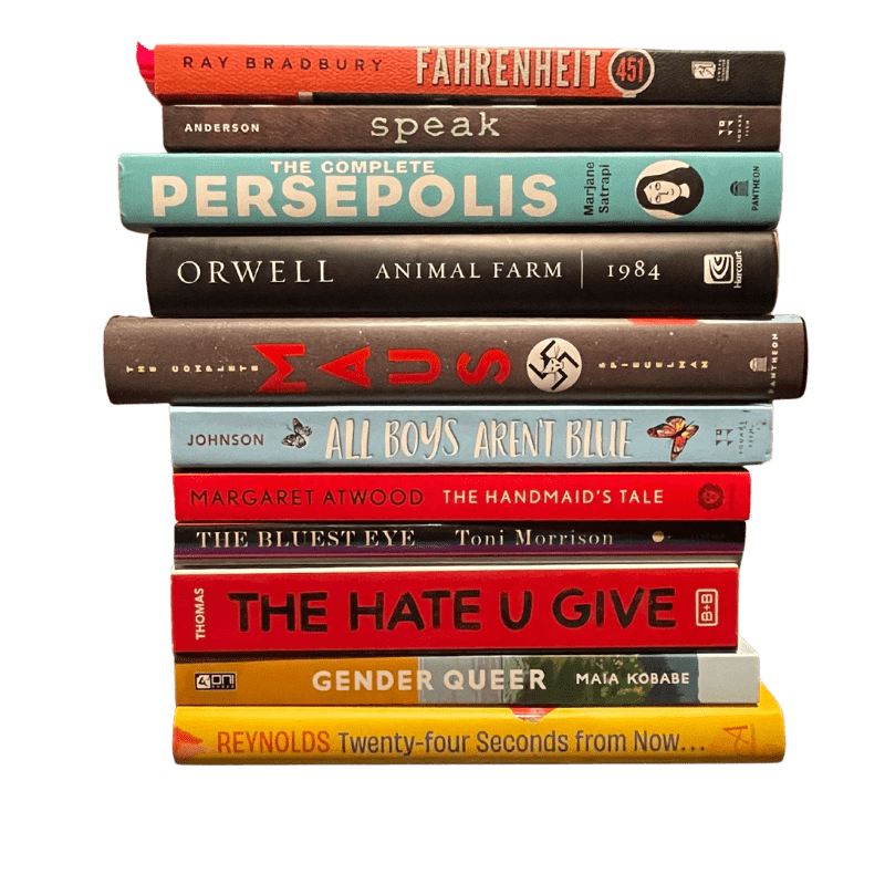 Banned Books for 2025 banned book club